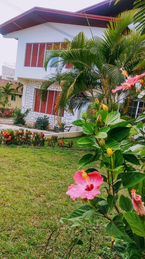 Jacks Hill Tropical Arcadia Hotel Kingston Kültér fotó
