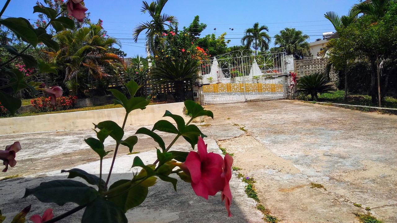 Jacks Hill Tropical Arcadia Hotel Kingston Kültér fotó