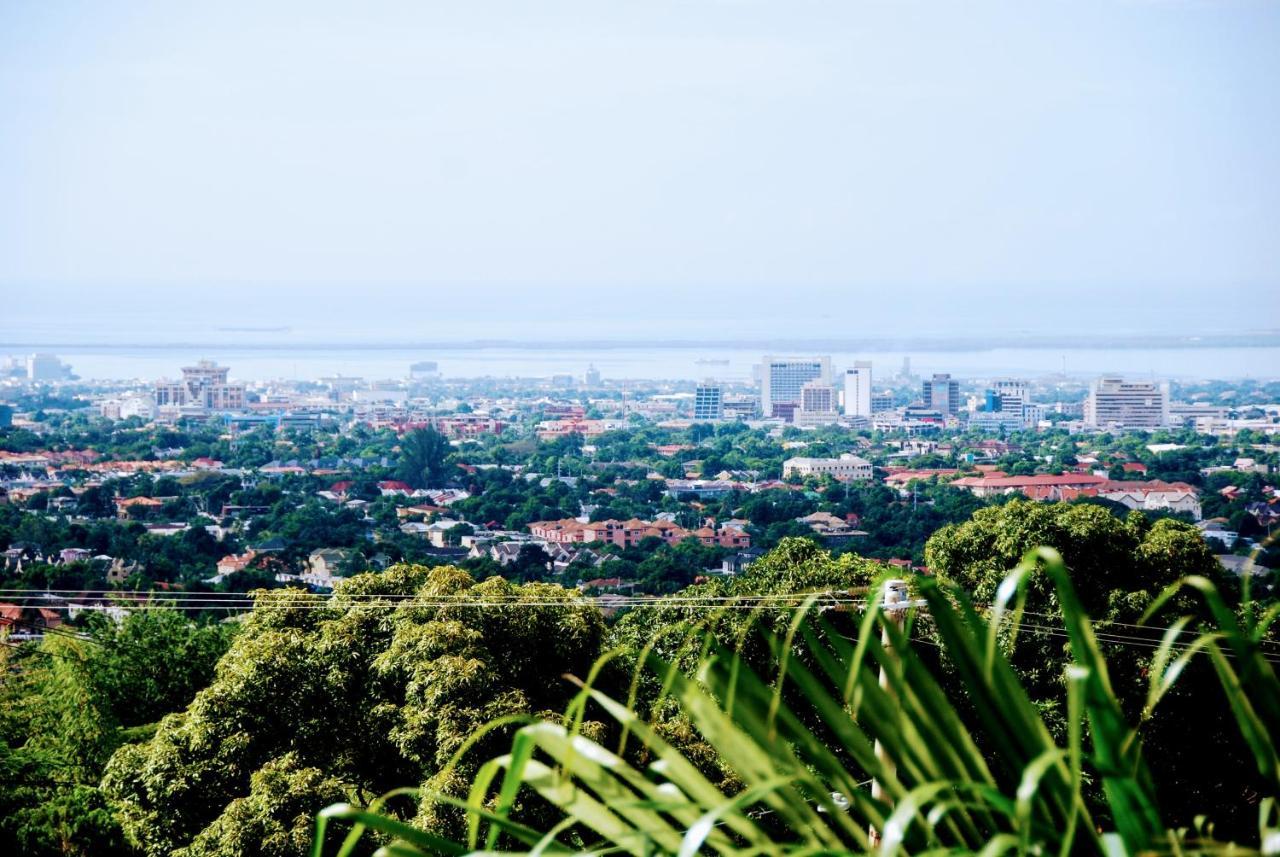 Jacks Hill Tropical Arcadia Hotel Kingston Kültér fotó